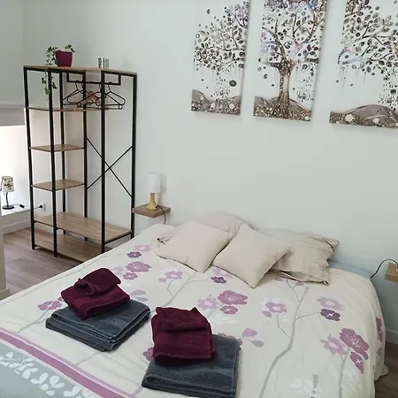 Maison Les Iris - 2 Et 2 Salles De Bain - 2 A 4 Personnes - Futuroscope Nyaraló Avanton