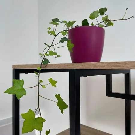 Maison Les Iris - 2 Et 2 Salles De Bain - 2 A 4 Personnes - Futuroscope *