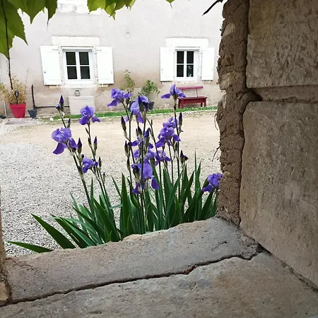Maison Les Iris - 2 Et 2 Salles De Bain - 2 A 4 Personnes - Futuroscope Prázdninový dům