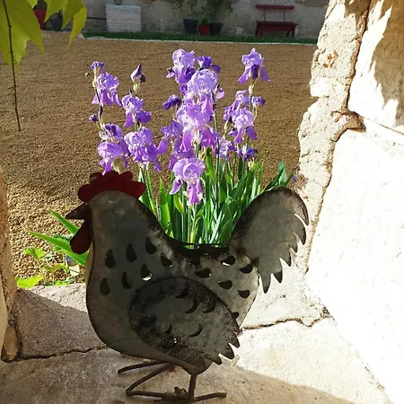 Maison Les Iris - 2 Et 2 Salles De Bain - 2 A 4 Personnes - Futuroscope Prázdninový dům