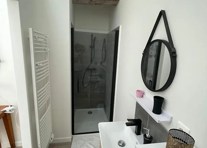 Maison Les Iris - 2 Et 2 Salles De Bain - 2 A 4 Personnes - Futuroscope *