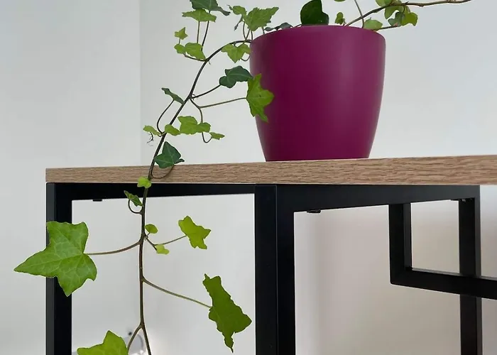 Maison Les Iris - 2 Et 2 Salles De Bain - 2 A 4 Personnes - Futuroscope *