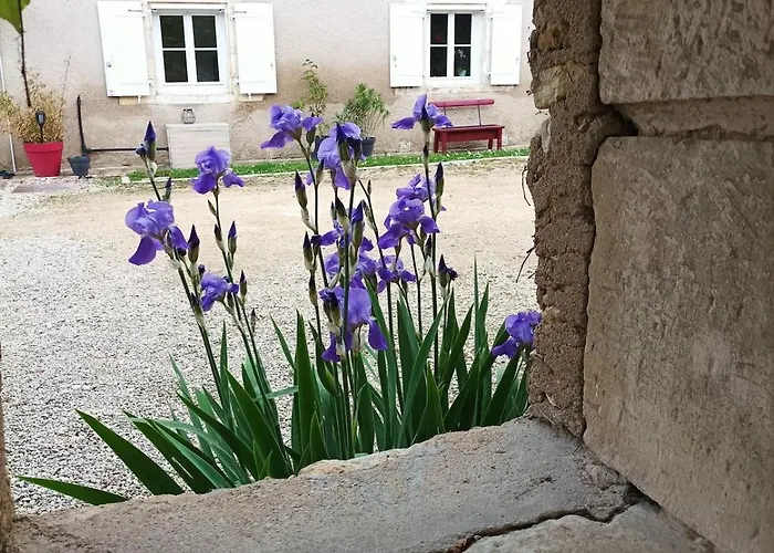 Maison Les Iris - 2 Et 2 Salles De Bain - 2 A 4 Personnes - Futuroscope Holiday home