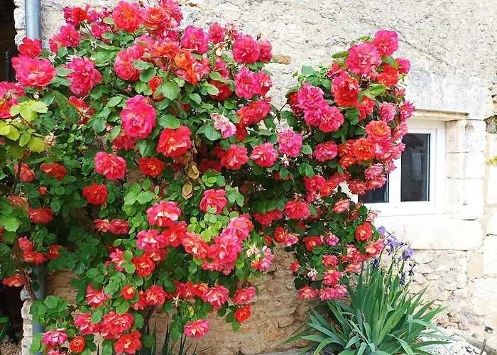 Maison Les Iris - 2 Et 2 Salles De Bain - 2 A 4 Personnes - Futuroscope