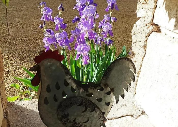 Maison Les Iris - 2 Et 2 Salles De Bain - 2 A 4 Personnes - Futuroscope Holiday home