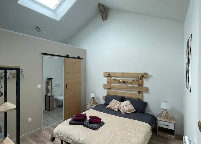 Maison Les Iris - 2 Et 2 Salles De Bain - 2 A 4 Personnes - Futuroscope