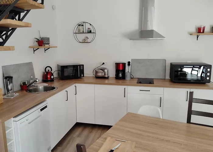 Maison Les Iris - 2 Et 2 Salles De Bain - 2 A 4 Personnes - Futuroscope Holiday home